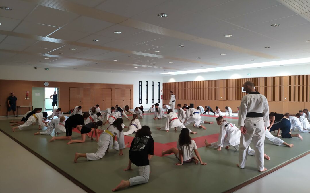 Les enfants ont repris le chemin du dojang !