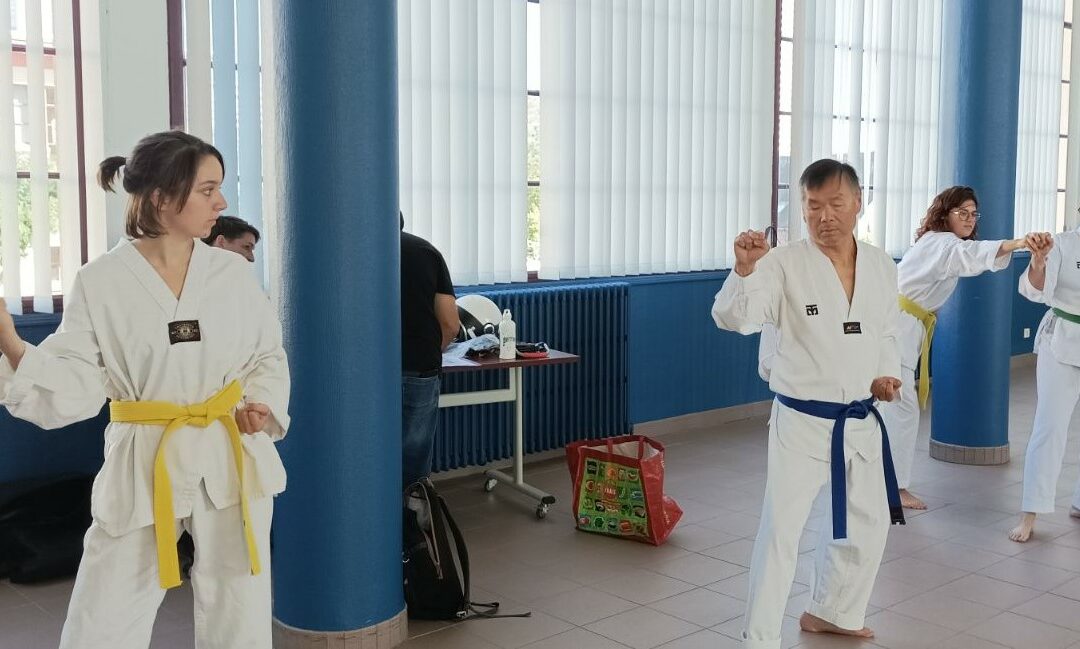 Un dimanche au céci-taekwondo…