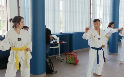 Un dimanche au céci-taekwondo…