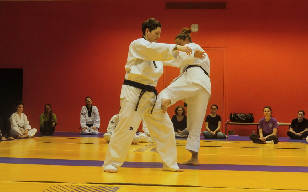 Stage de Nihon Taï Jitsu avec Elise Chenu